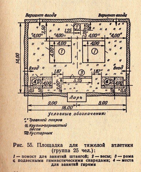 ris.55.jpg