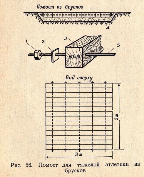 ris.56.jpg